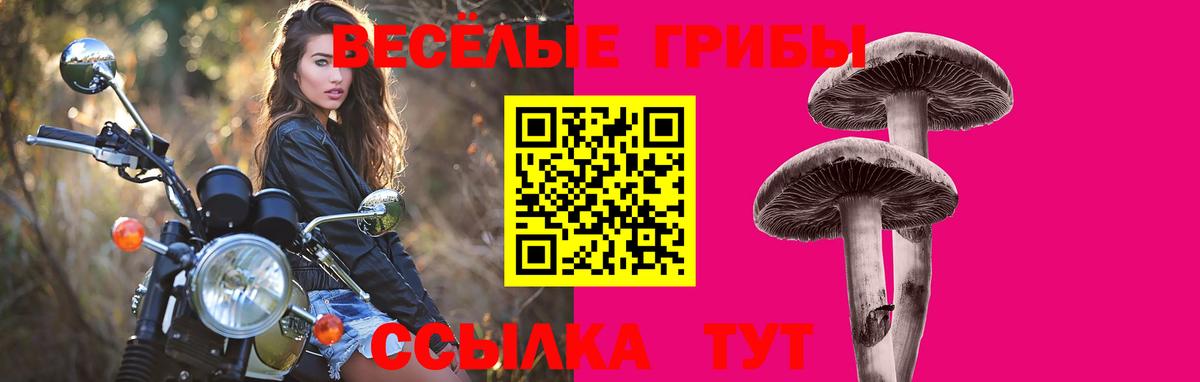 Галлюциногенные грибы ЛСД Долгопрудный